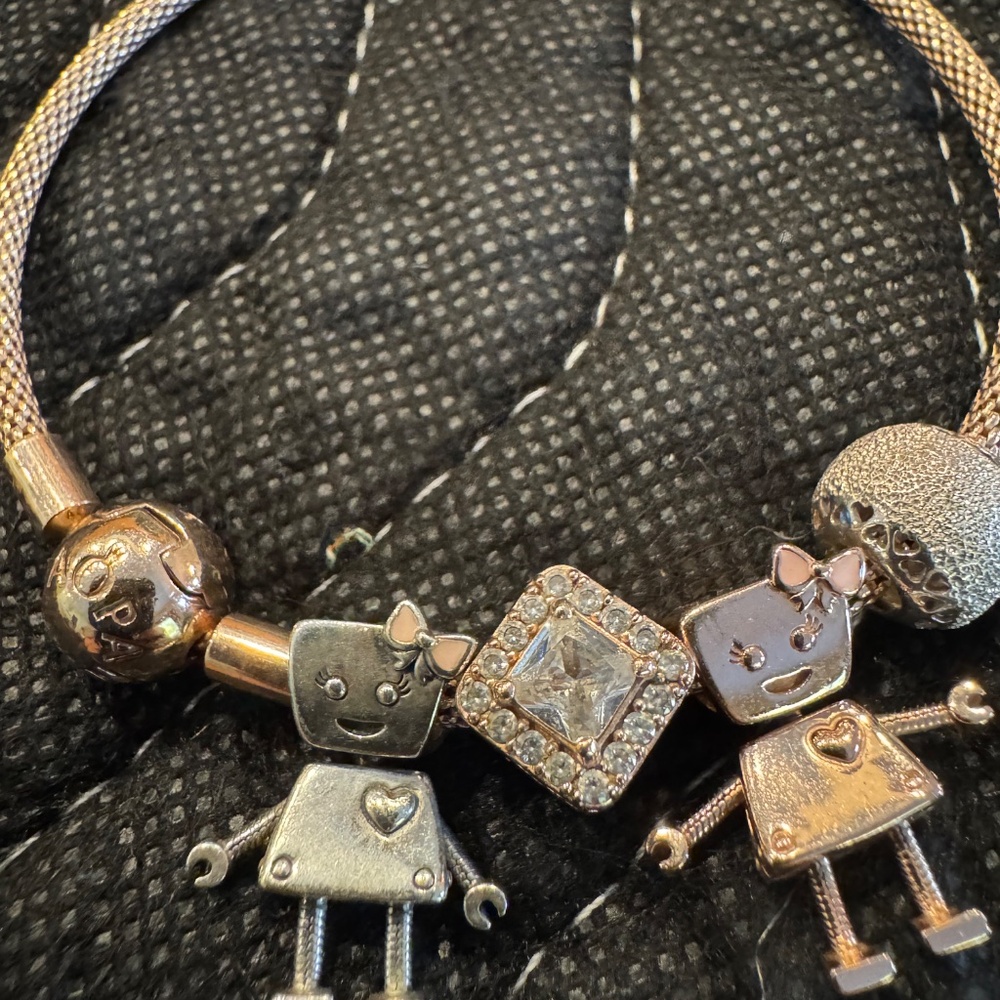 Pandora Mesh Bracelet with Charms